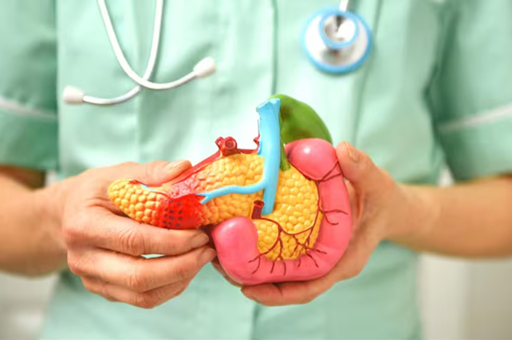 Hepatobiliary & Pancreatic cancer care